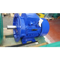 Moteur KSB type 1LA9131-2KA66-ZX77A 132