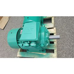 Moteur Leroy-Somer type LS200LT-4