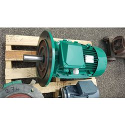 Moteur Leroy-Somer type LS160MP-T