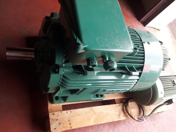 Moteur Leroy-Somer type LS250ME-T