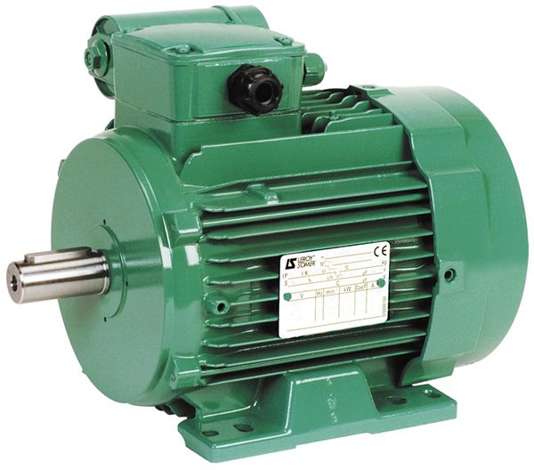 Moteur monophas&eacute; Leroy-Somer type LS 80LP